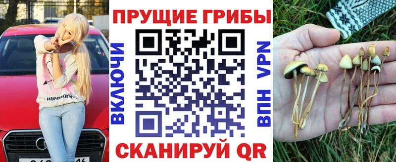 купить наркоту  Калач-на-Дону  blacksprut сайт  Галлюциногенные грибы мицелий 