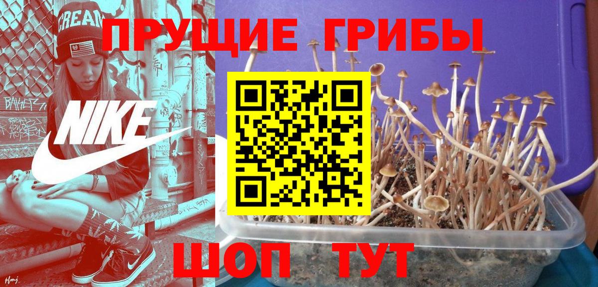Галлюциногенные грибы GOLDEN TEACHER  Галлюциногенные грибы мухоморы  Вход с VPN  Калач-на-Дону 