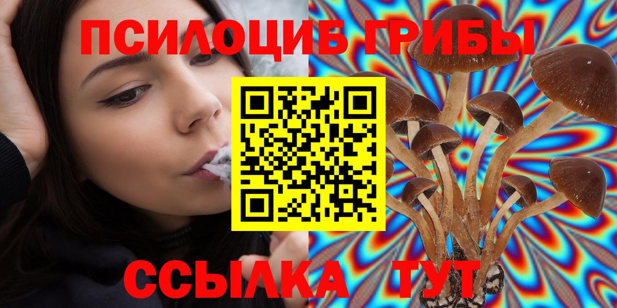 Галлюциногенные грибы Cubensis  купить   Калач-на-Дону 